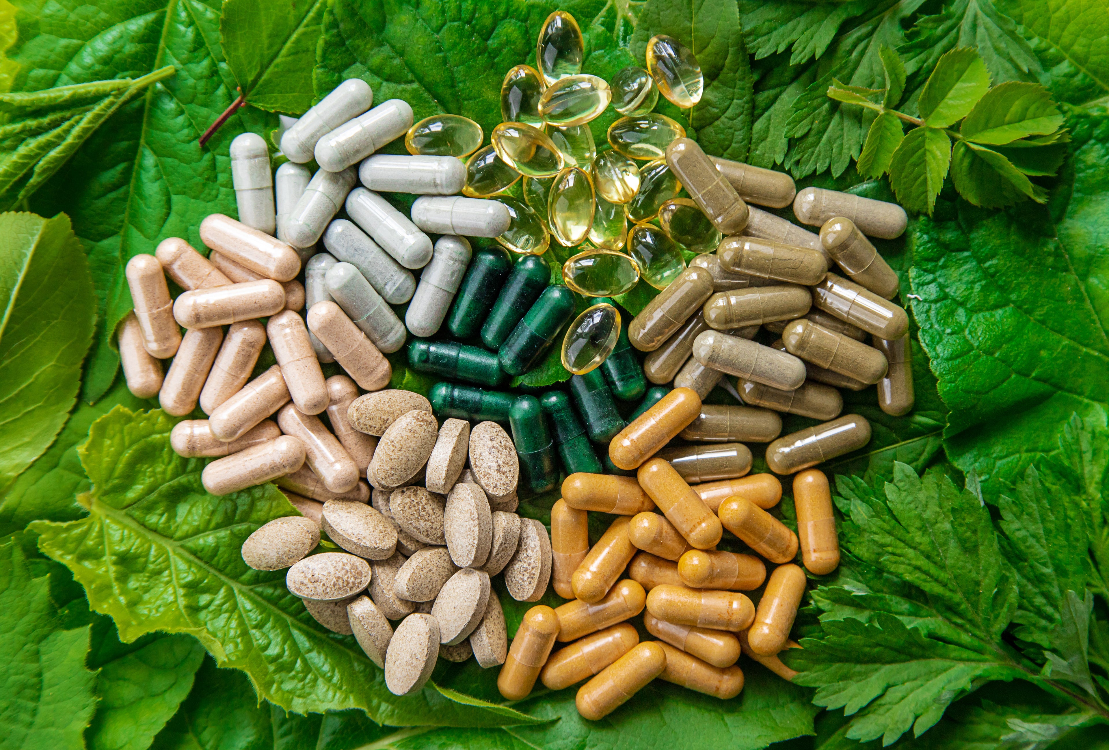 Health & Wellness
